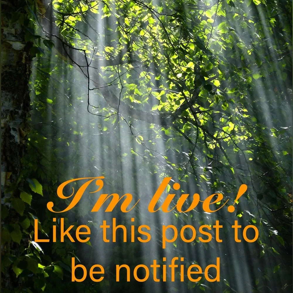 I’m live! Like this post if you would like to be notified - Picture 1 of 1